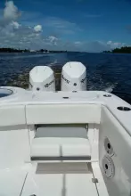 Thumbnail von Invincible 46 Catamaran