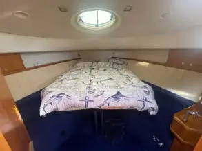 Thumbnail von Broom 425