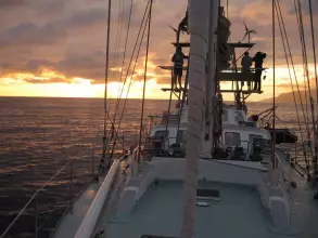 Thumbnail von BLONDECELL, FREEWARD MARINE Simon Rogers Cutter Rigged One Design SONG OF THE WHALE