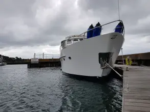 Thumbnail von Zijlmans Triqual 65 BIG BIRD OF POOLE