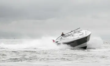 Thumbnail von Venté 39 Camira COHIBA