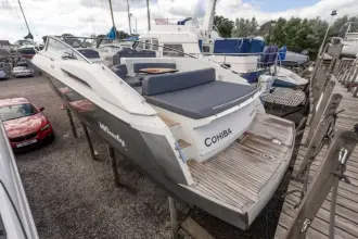 Thumbnail von Venté 39 Camira COHIBA