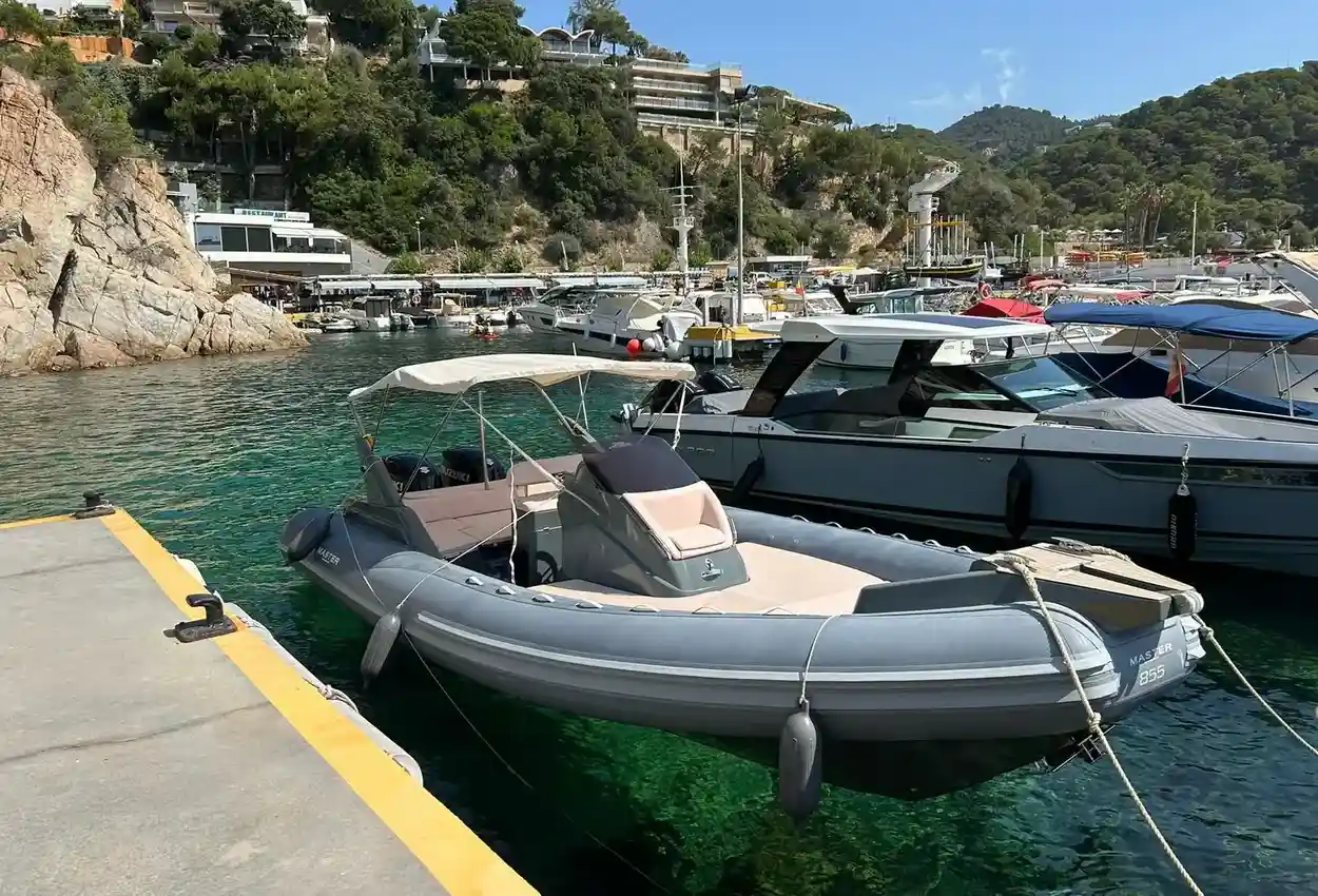 Thumbnail von Master 855