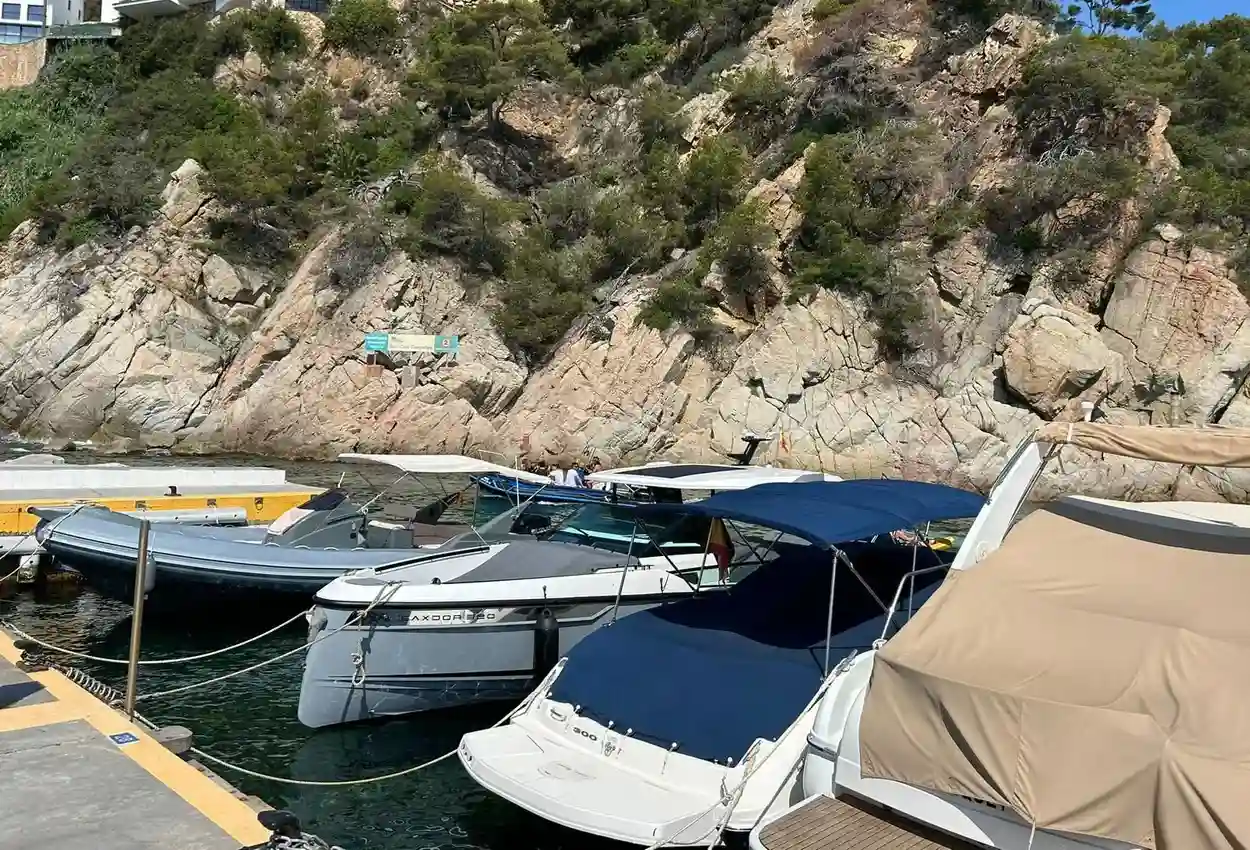 Thumbnail von Master 855