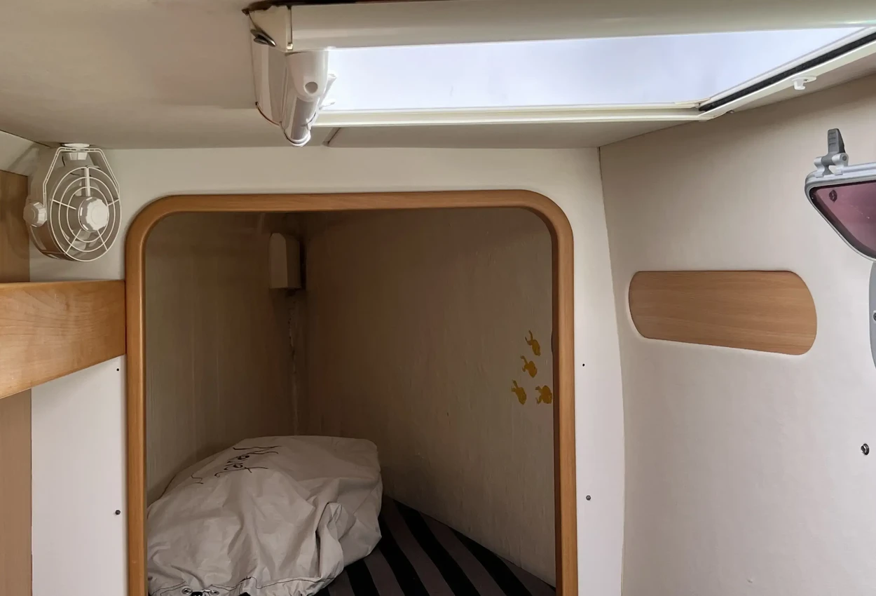 Thumbnail von Leopard 40 1687