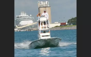 Thumbnail von Shoalwater 23 Cat