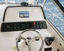 Thumbnail von Grady White 300 MARLIN