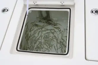 Thumbnail von Maverick 18 Hpx V