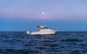 Thumbnail von Grady White Express 370