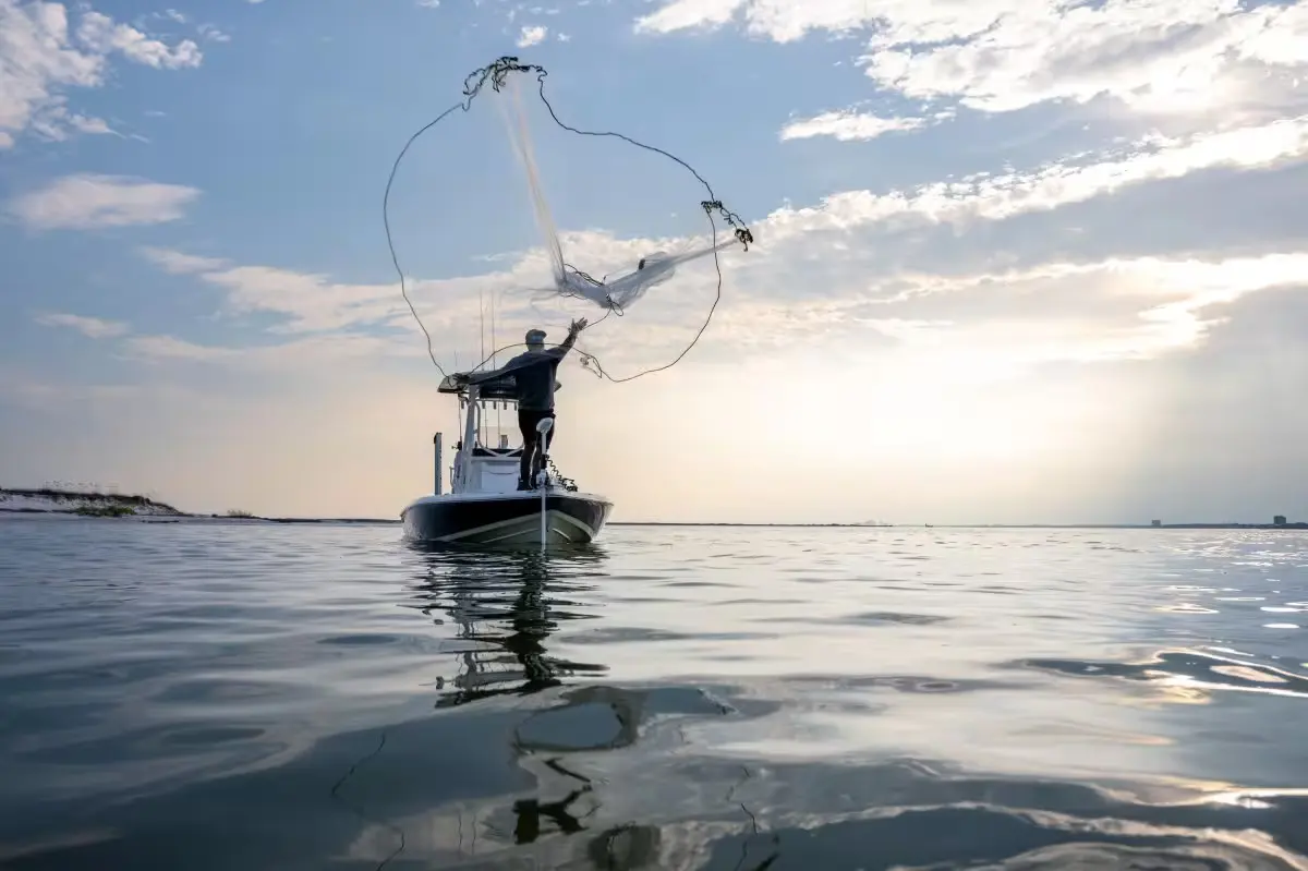 Thumbnail von Skeeter SX 241