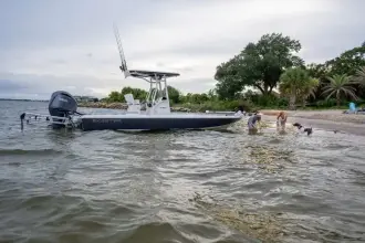 Thumbnail von Skeeter SX 241