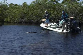 Thumbnail von Maverick 17 Hpx S