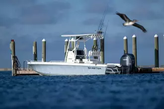 Thumbnail von Skeeter SX 2550