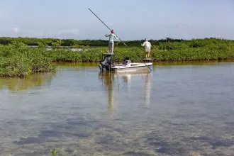 Thumbnail von Maverick 17 Hpx V