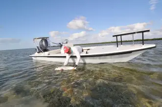 Thumbnail von Maverick 17 Hpx V