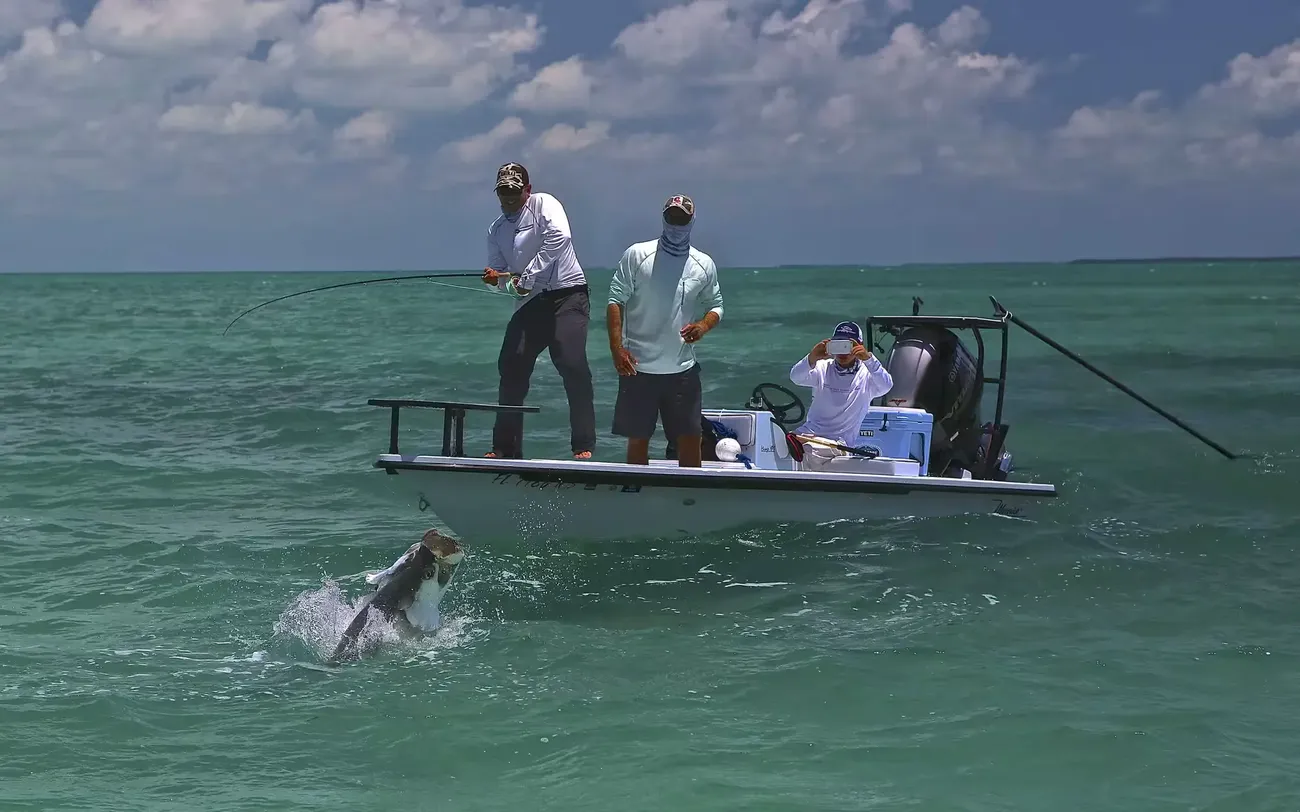 Thumbnail von Maverick 17 Hpx V