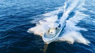 Thumbnail von Cobia 265 CC