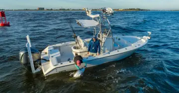 Thumbnail von Pathfinder 2400 Open