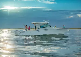 Thumbnail von Grady White Freedom 375