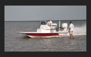 Thumbnail von Shoalwater 20 Cat