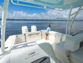 Thumbnail von Cobia 280 DC