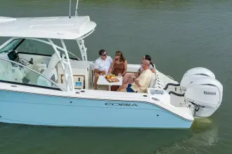 Thumbnail von Cobia 280 DC