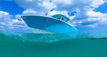 Thumbnail von Cobia 350 CC