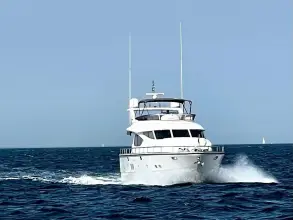 Thumbnail von Elegance 64