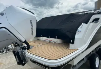 Thumbnail von Sea Ray SDX 250