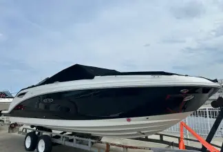 Thumbnail von Sea Ray SDX 250