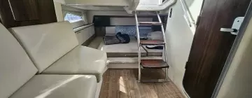 Thumbnail von Regal 33 SAV INTO THE MYSTIC