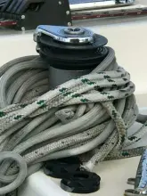 Thumbnail von Tartan 4600 Green Rosetta