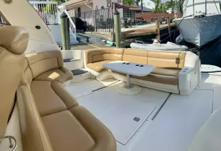 Thumbnail von Sea Ray 460 Sundancer Party of 9