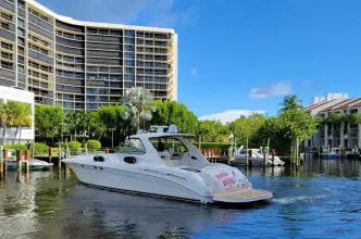 Thumbnail von Sea Ray 540 Sundancer Bada Bing II