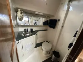 Thumbnail von Morgan 440 DS Harmony