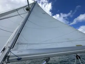 Thumbnail von Morgan 440 DS Harmony