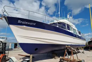 Thumbnail von Hardy Commodore 42 Brainwave