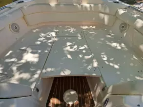 Thumbnail von Grady White Freedom 285