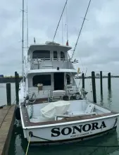 Thumbnail von Hatteras 72 Cockpit Motor Yacht SONORA