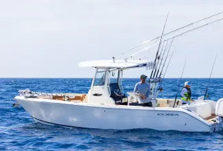 Thumbnail von Cobia 285 CC OPEN