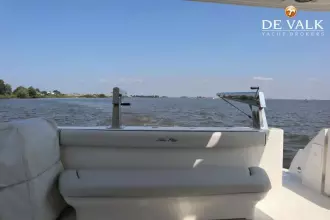 Thumbnail von Sea Ray 455 Sedan Bridge