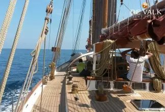 Thumbnail von Custom 30 M