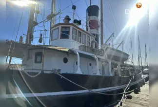 Thumbnail von Custom 31M