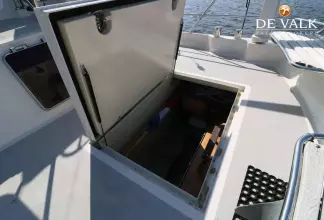 Thumbnail von Pilot Whale 45