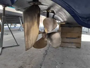 Thumbnail von Sealine F37 Just Kate