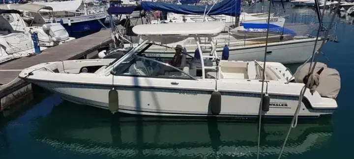 Boston Whaler 270 Vantage