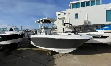 Thumbnail von Wellcraft Fisherman 242