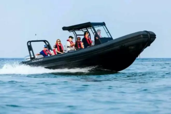 Highfield Patrol 860