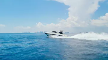 Thumbnail von Mangusta 72