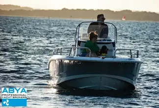 Thumbnail von Boston Whaler 220 Dauntless